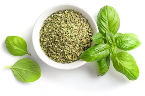 ALBAHACA KG CONDIMENTO