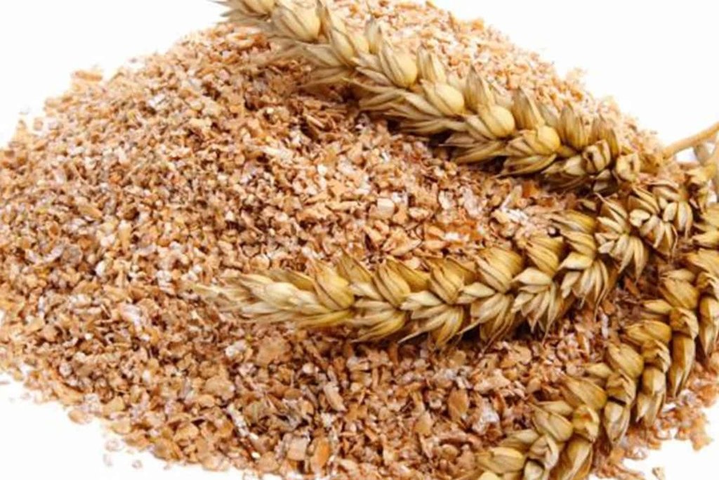 SALVADO DE TRIGO KG GRUESO/FINO