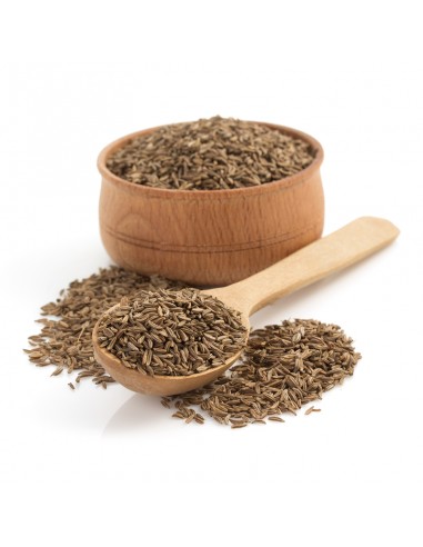 COMINO GRANO x KG CONDIMENTO