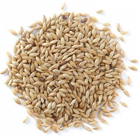 ALPISTE COMESTIBLE KG SS