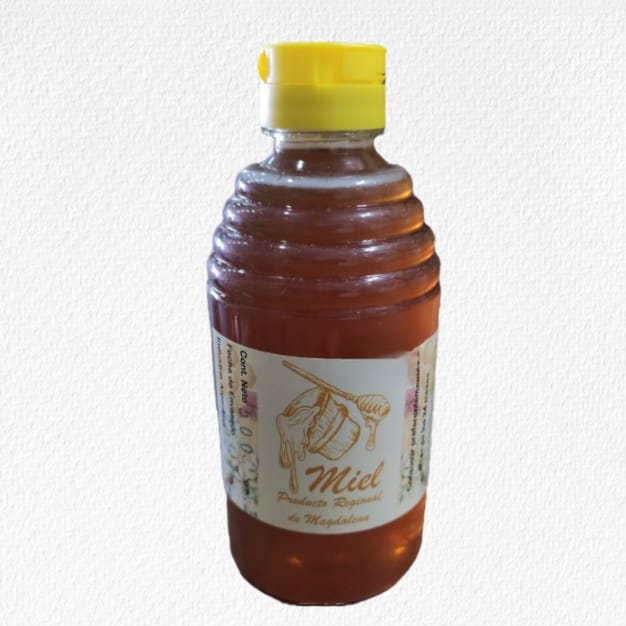 MIEL CON PICO VERTEDOR 500 grs