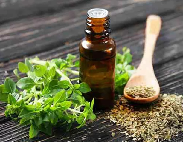 ACEITE DE OREGANO COSMETICO 10 ml