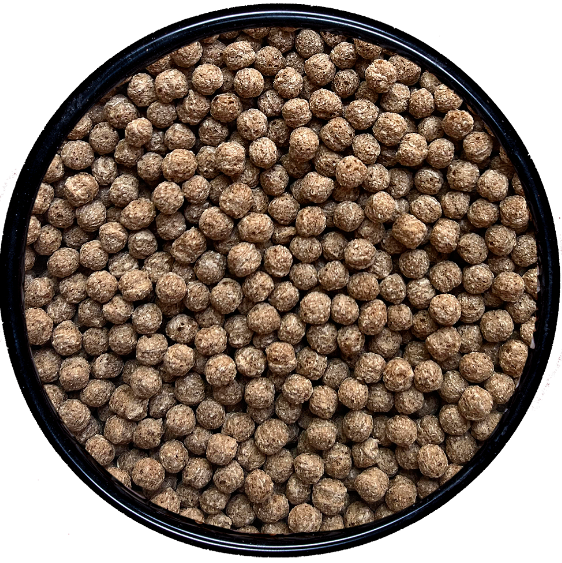 QUINOA POP CON ALGARROBA  KG