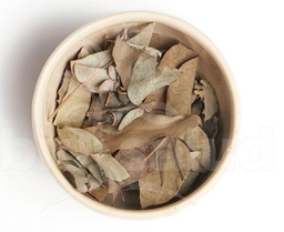 EUCALIPTUS MENTOLADO KG YUYO