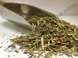 DIENTE DE LEON / AMARGON KG YUYO