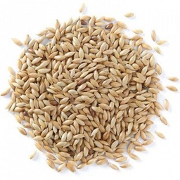 ALPISTE COMESTIBLE KG SS