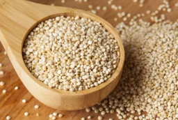 QUINOA INTEGRAL KG SS