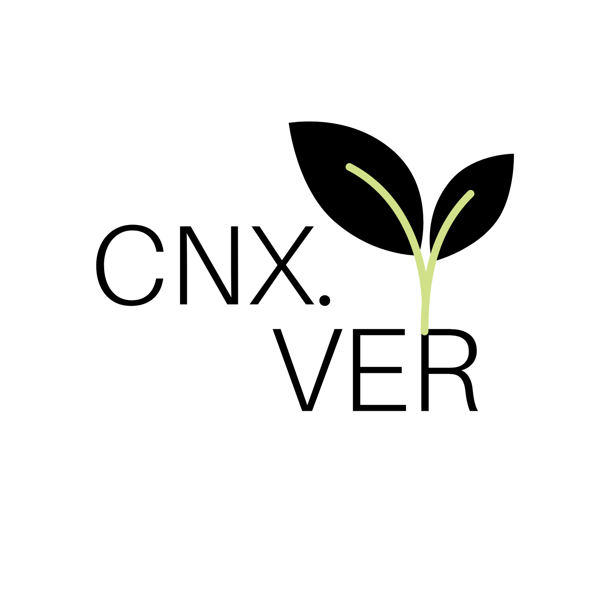 My Website